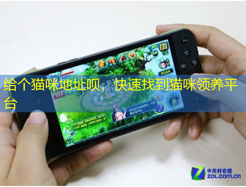 給個貓咪地址唄，快速找到貓咪領(lǐng)養(yǎng)平臺