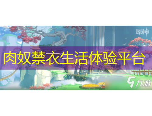 肉奴禁衣生活體驗平臺