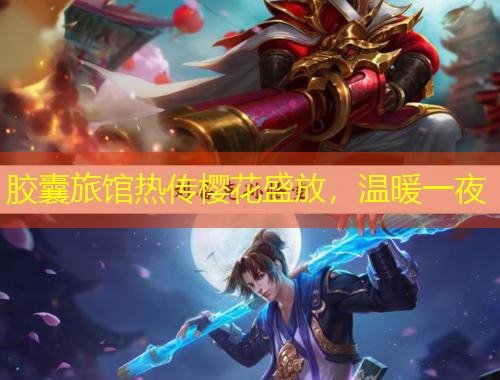 膠囊旅館熱傳櫻花盛放，溫暖一夜