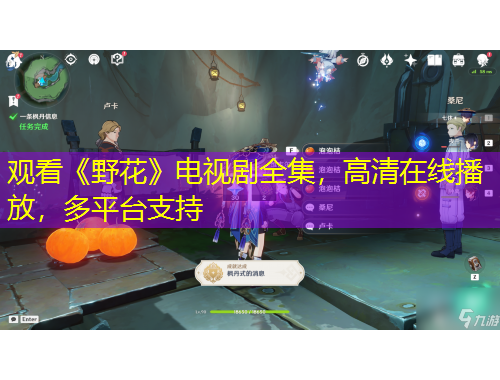 觀看《野花》電視劇全集，高清在線播放，多平臺(tái)支持