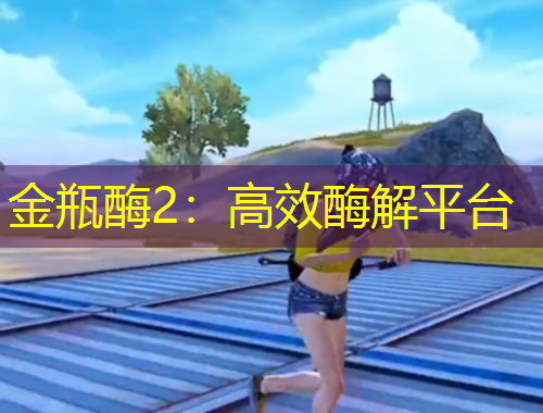 金瓶酶2：高效酶解平臺