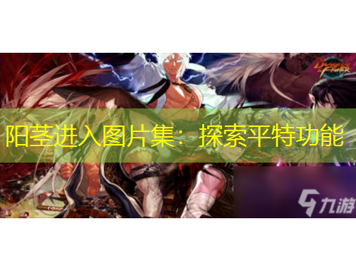 陽(yáng)莖進(jìn)入圖片集：探索平特功能