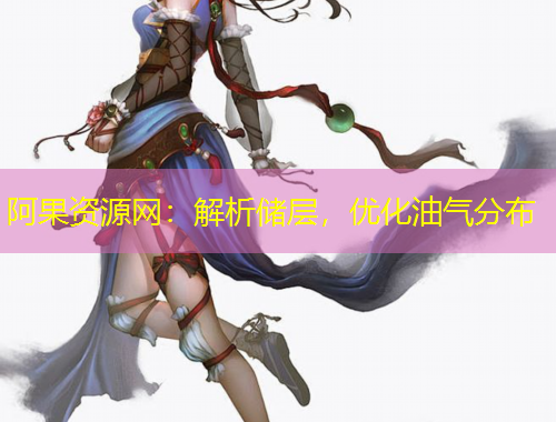 阿果資源網(wǎng)：解析儲層，優(yōu)化油氣分布