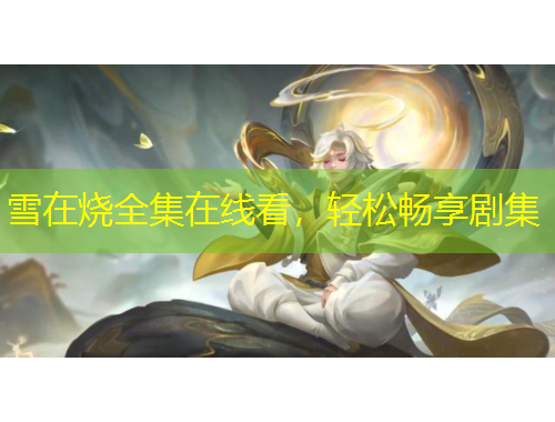 雪在燒全集在線看，輕松暢享劇集