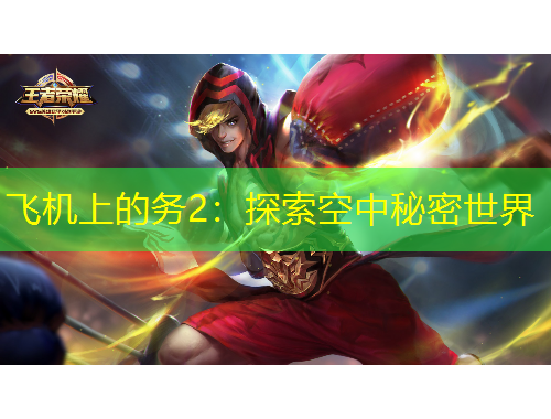 飛機(jī)上的務(wù)2：探索空中秘密世界