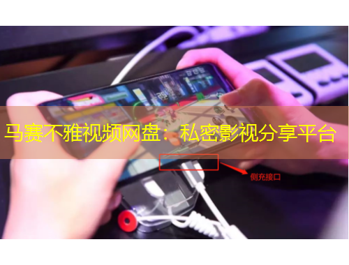 馬賽不雅視頻網(wǎng)盤：私密影視分享平臺