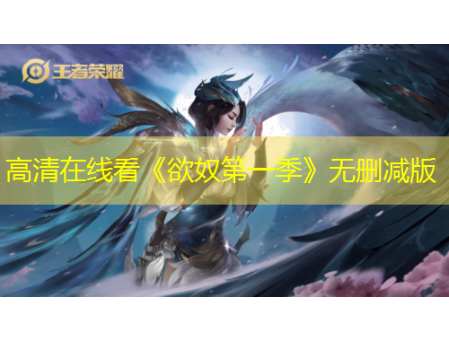 高清在線看《欲奴第一季》無(wú)刪減版