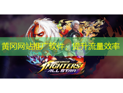 黃岡網(wǎng)站推廣軟件，提升流量效率