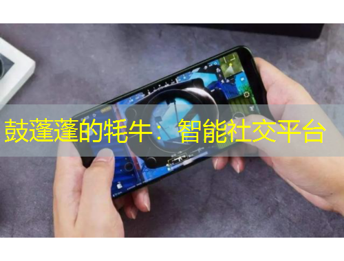 鼓蓬蓬的牦牛：智能社交平臺
