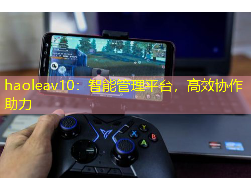 haoleav10：智能管理平臺，高效協(xié)作助力