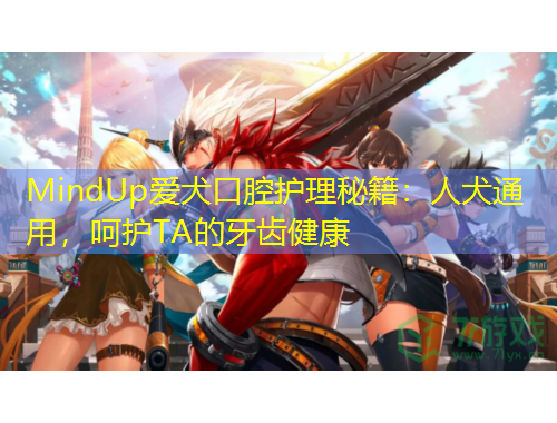 MindUp愛(ài)犬口腔護(hù)理秘籍：人犬通用，呵護(hù)TA的牙齒健康