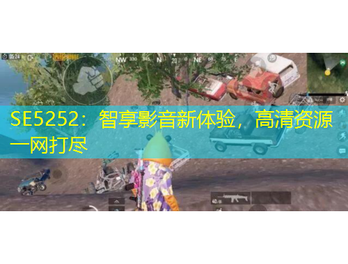 SE5252：智享影音新體驗，高清資源一網(wǎng)打盡