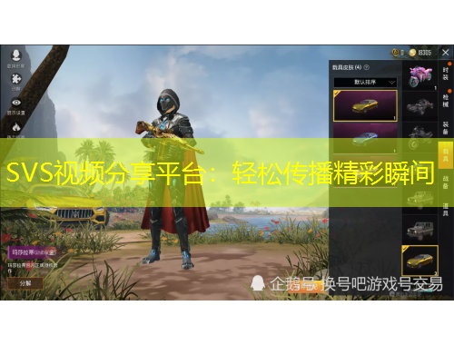 SVS視頻分享平臺(tái)：輕松傳播精彩瞬間