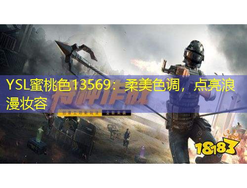 YSL蜜桃色13569：柔美色調(diào)，點(diǎn)亮浪漫妝容