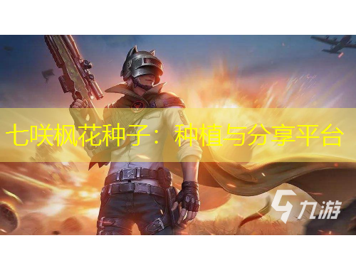 七咲楓花種子：種植與分享平臺