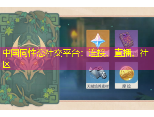 中國(guó)同性戀社交平臺(tái)：連接、直播、社區(qū)