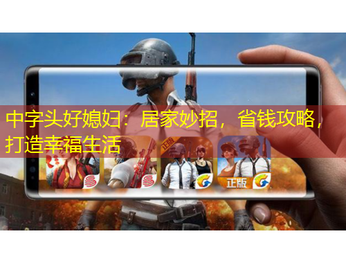 中字頭好媳婦：居家妙招，省錢攻略，打造幸福生活