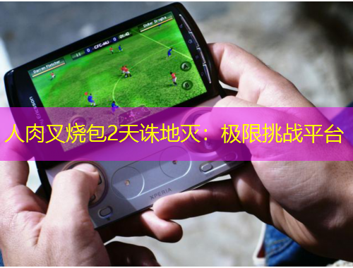 人肉叉燒包2天誅地滅：極限挑戰(zhàn)平臺