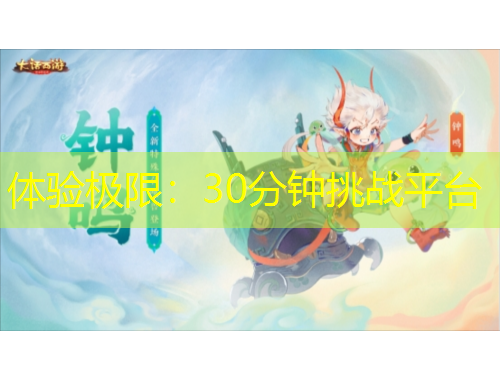 體驗極限：30分鐘挑戰(zhàn)平臺