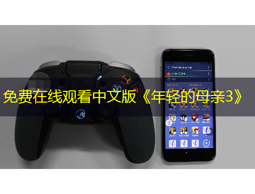 免費(fèi)在線觀看中文版《年輕的母親3》