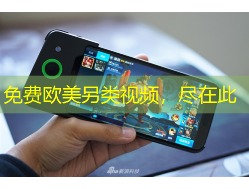 免費(fèi)歐美另類視頻，盡在此