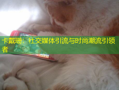 卡戴珊：社交媒體引流與時(shí)尚潮流引領(lǐng)者