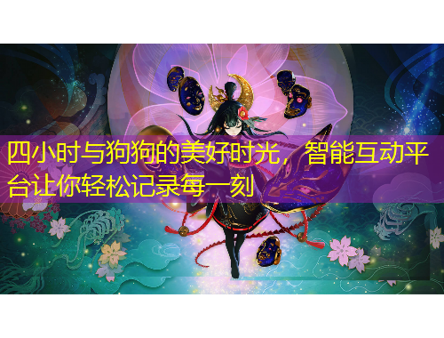 四小時(shí)與狗狗的美好時(shí)光，智能互動(dòng)平臺(tái)讓你輕松記錄每一刻