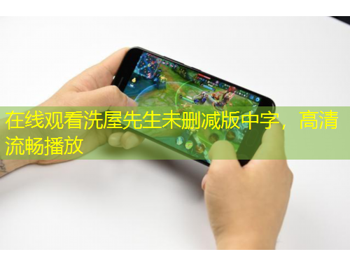 在線觀看洗屋先生未刪減版中字，高清流暢播放