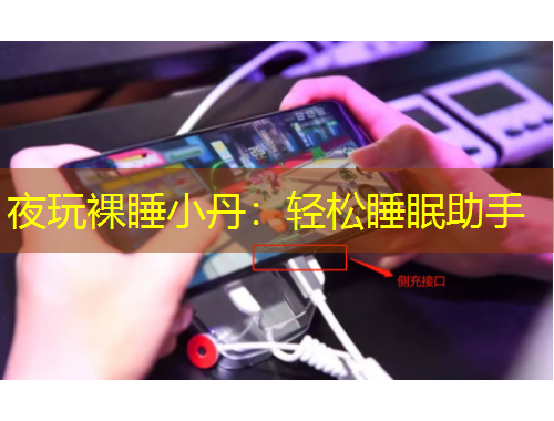 夜玩裸睡小丹：輕松睡眠助手