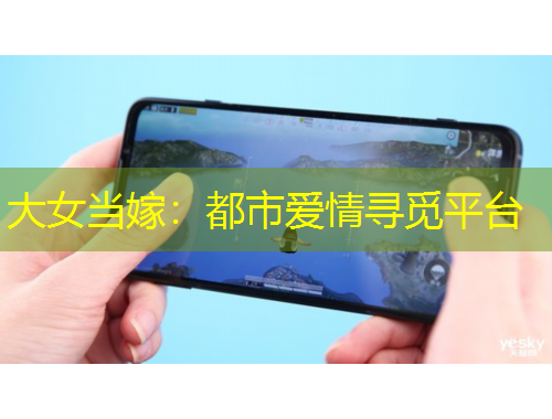 大女當嫁：都市愛情尋覓平臺