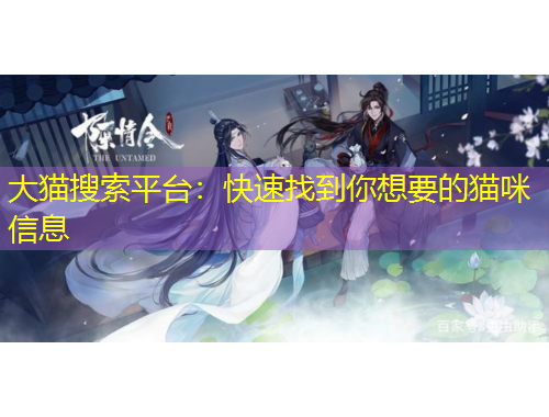 大貓搜索平臺：快速找到你想要的貓咪信息