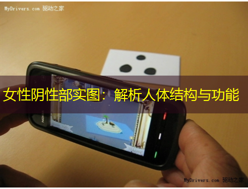 女性陰性部實(shí)圖：解析人體結(jié)構(gòu)與功能