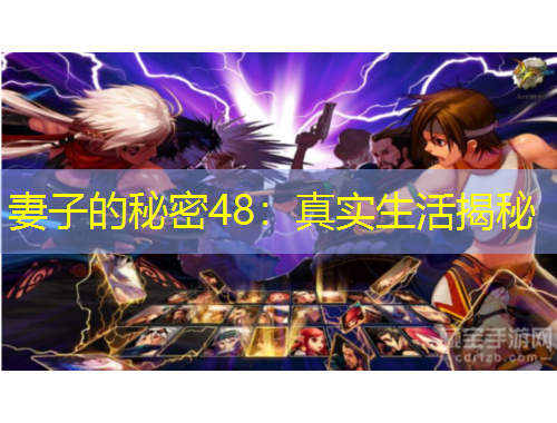 妻子的秘密48：真實(shí)生活揭秘