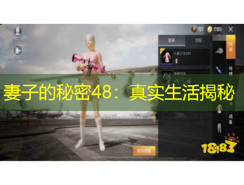 妻子的秘密48：真實(shí)生活揭秘