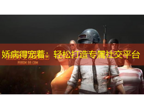 嬌病得寵著：輕松打造專(zhuān)屬社交平臺(tái)