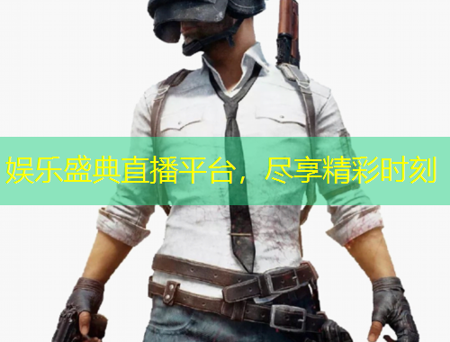 娛樂(lè)盛典直播平臺(tái)，盡享精彩時(shí)刻