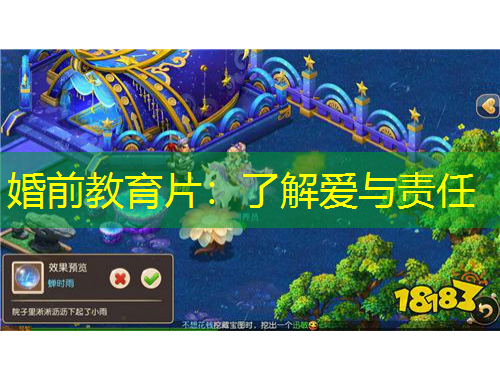 婚前教育片：了解愛與責(zé)任