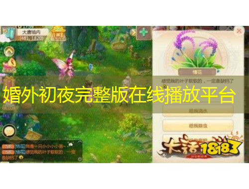 婚外初夜完整版在線播放平臺(tái)