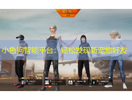 小色狗智能平臺：輕松發(fā)現(xiàn)新寵物好友