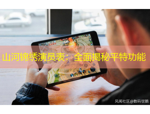 山河錦繡演員表：全面揭秘平特功能