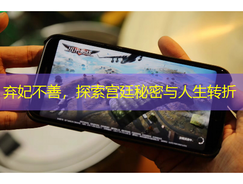 棄妃不善，探索宮廷秘密與人生轉(zhuǎn)折