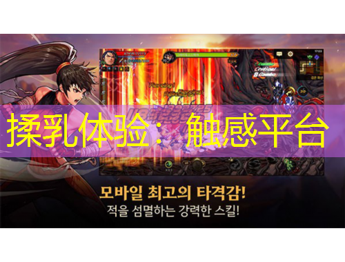 揉乳體驗：觸感平臺