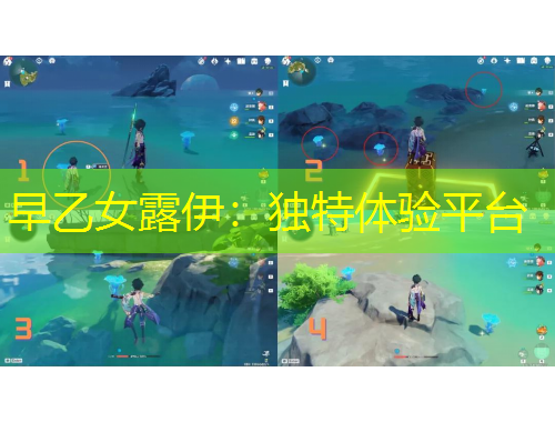 早乙女露伊：獨(dú)特體驗平臺