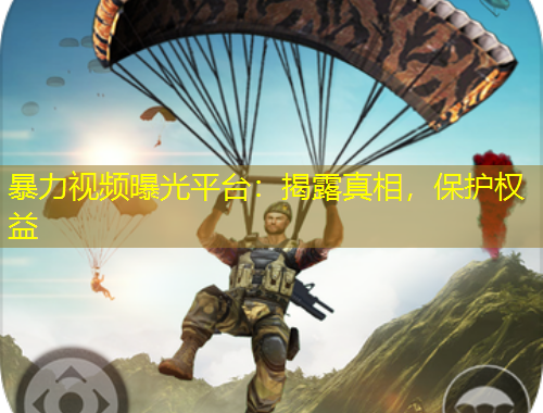 暴力視頻曝光平臺(tái)：揭露真相，保護(hù)權(quán)益