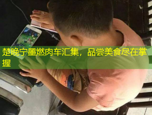 楚晚寧墨燃肉車匯集，品嘗美食盡在掌握