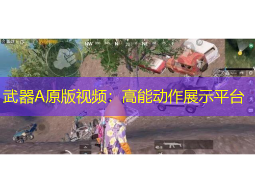 武器A原版視頻：高能動(dòng)作展示平臺(tái)