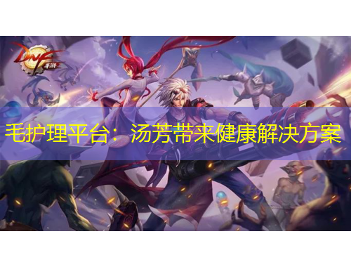 毛護理平臺：湯芳帶來健康解決方案