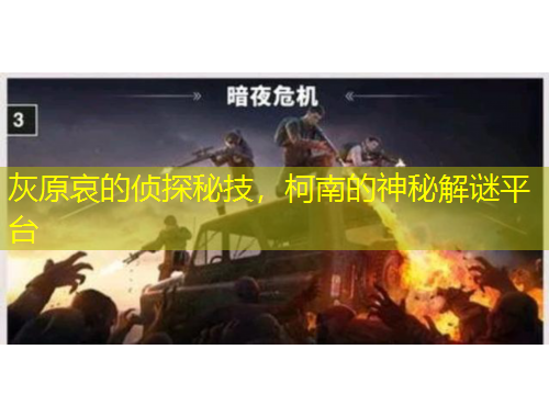 灰原哀的偵探秘技，柯南的神秘解謎平臺(tái)