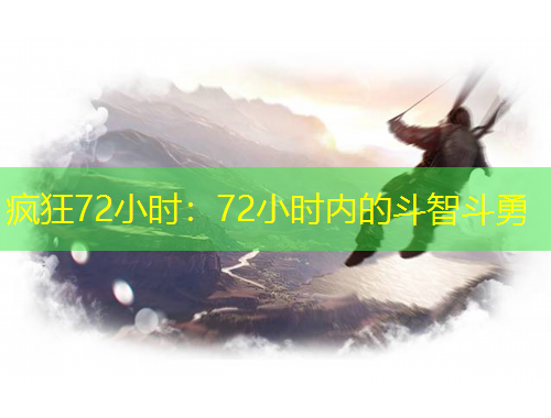 瘋狂72小時(shí)：72小時(shí)內(nèi)的斗智斗勇