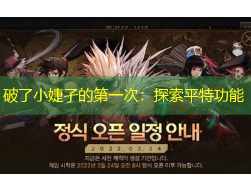 破了小婕孑的第一次：探索平特功能